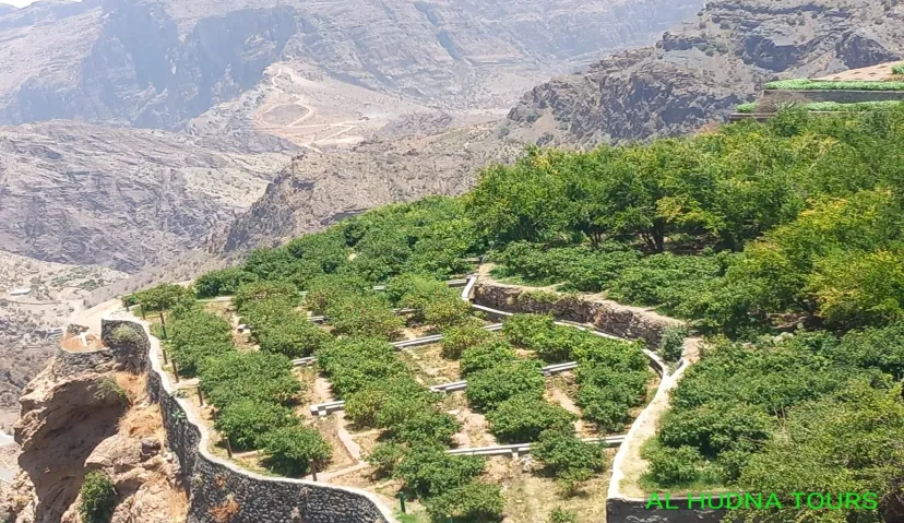 Private Day-Tour in Nizwa and Jebel Akhdar 6