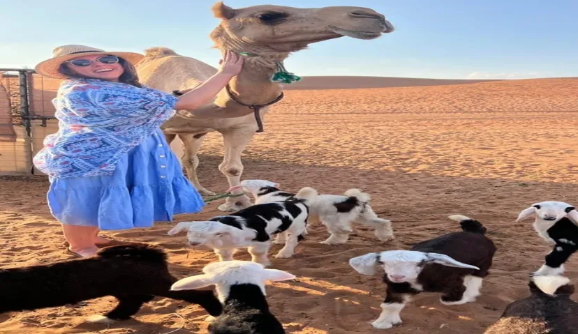 Wahiba Sands – Desert Safari Adventure 3